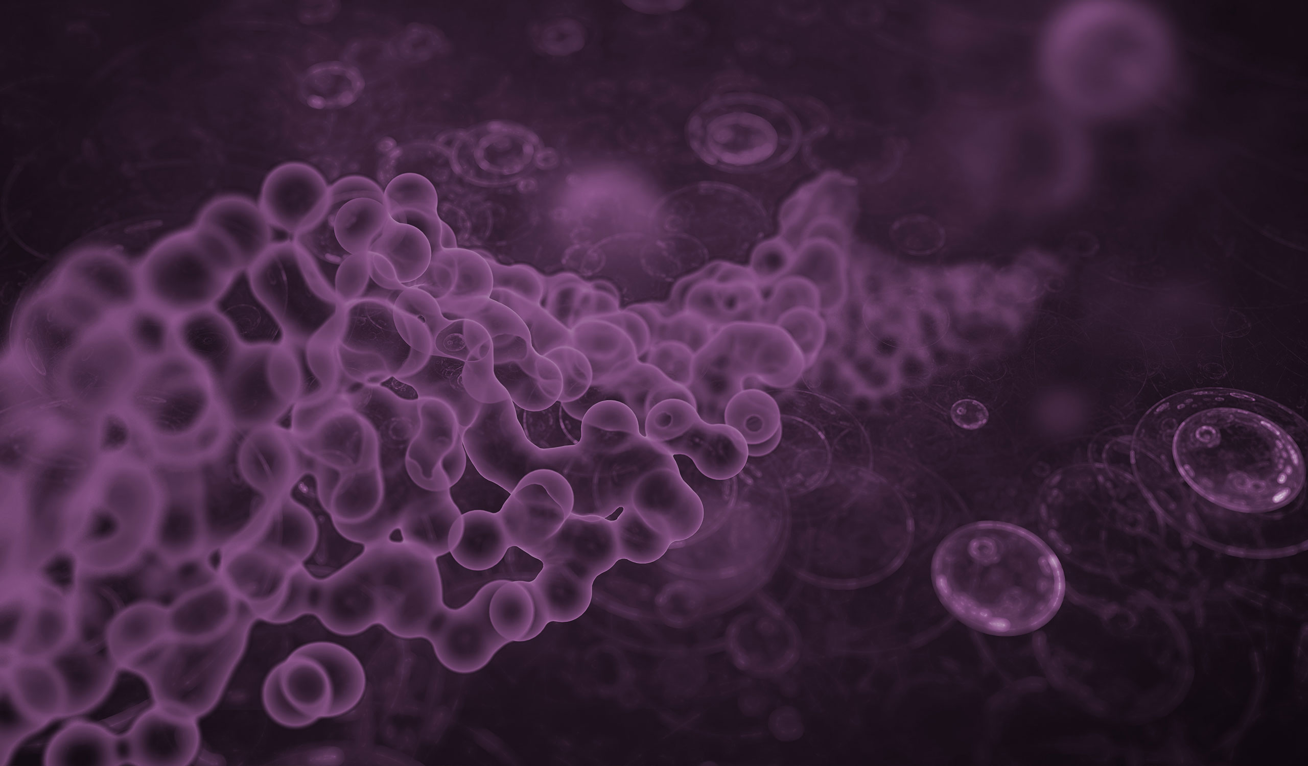 custom responsive wordpress website design for biopharmaceutical company in virginia