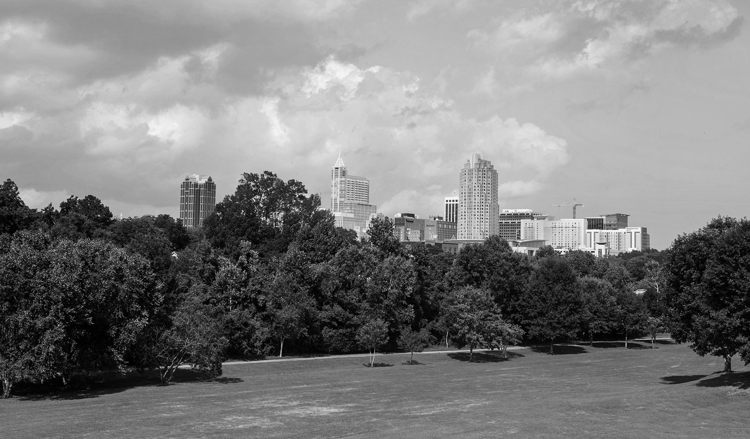 custom responsive website theme development for financial services company in Raleigh, NC