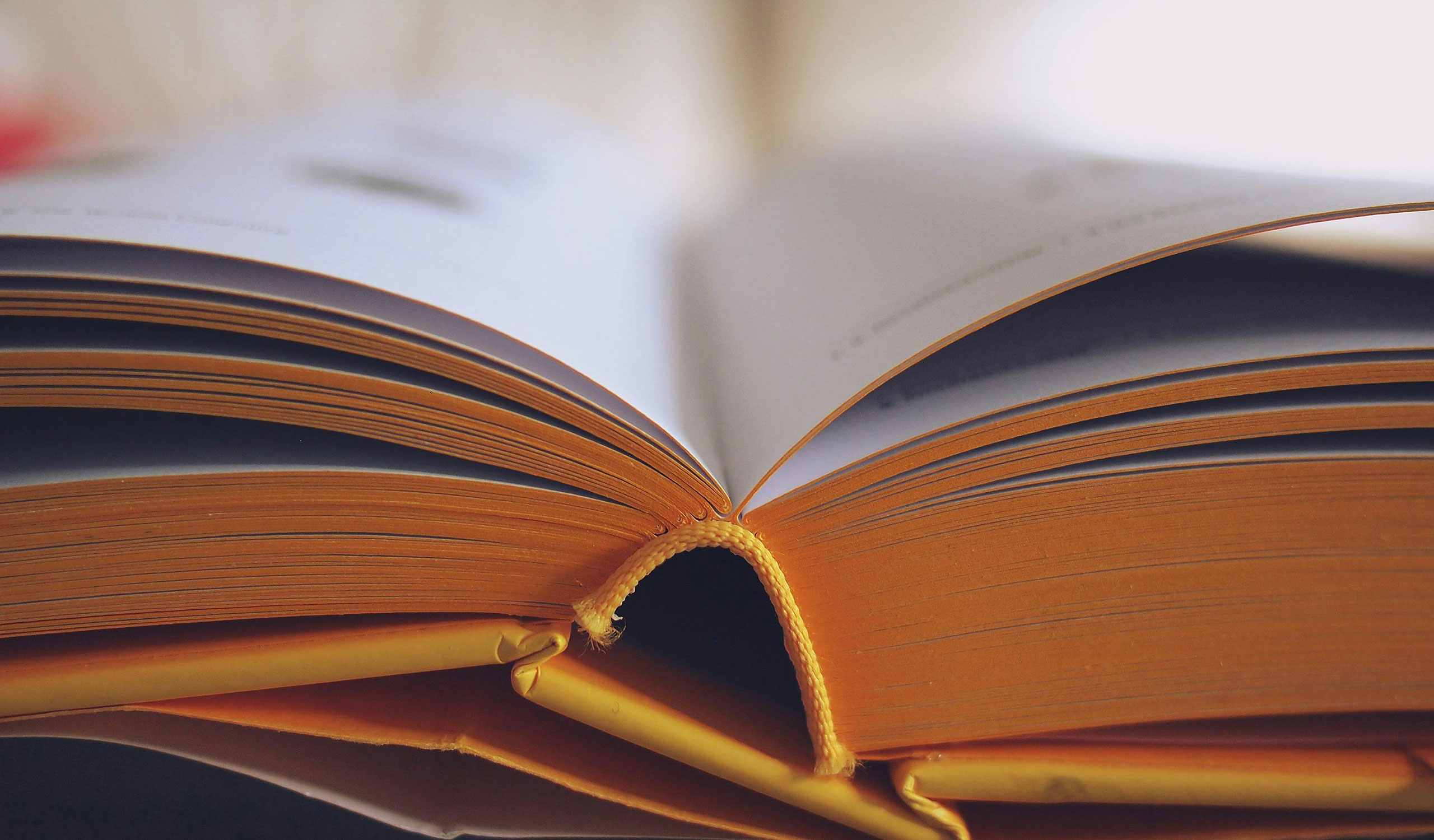 websites and custom theme development for book publishers