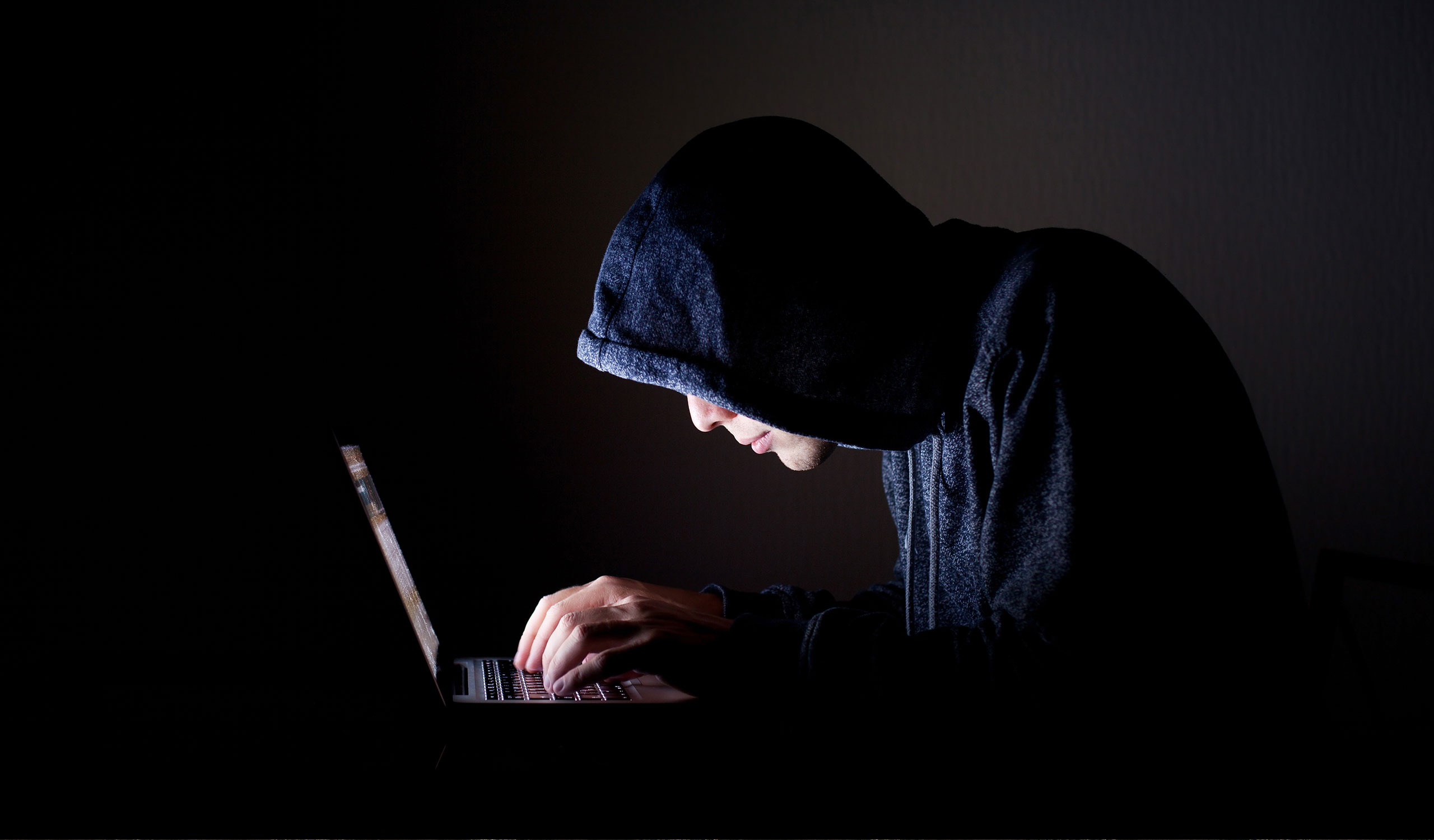 custom responsive website design for wordpress hosting and security company in Raleigh, NC