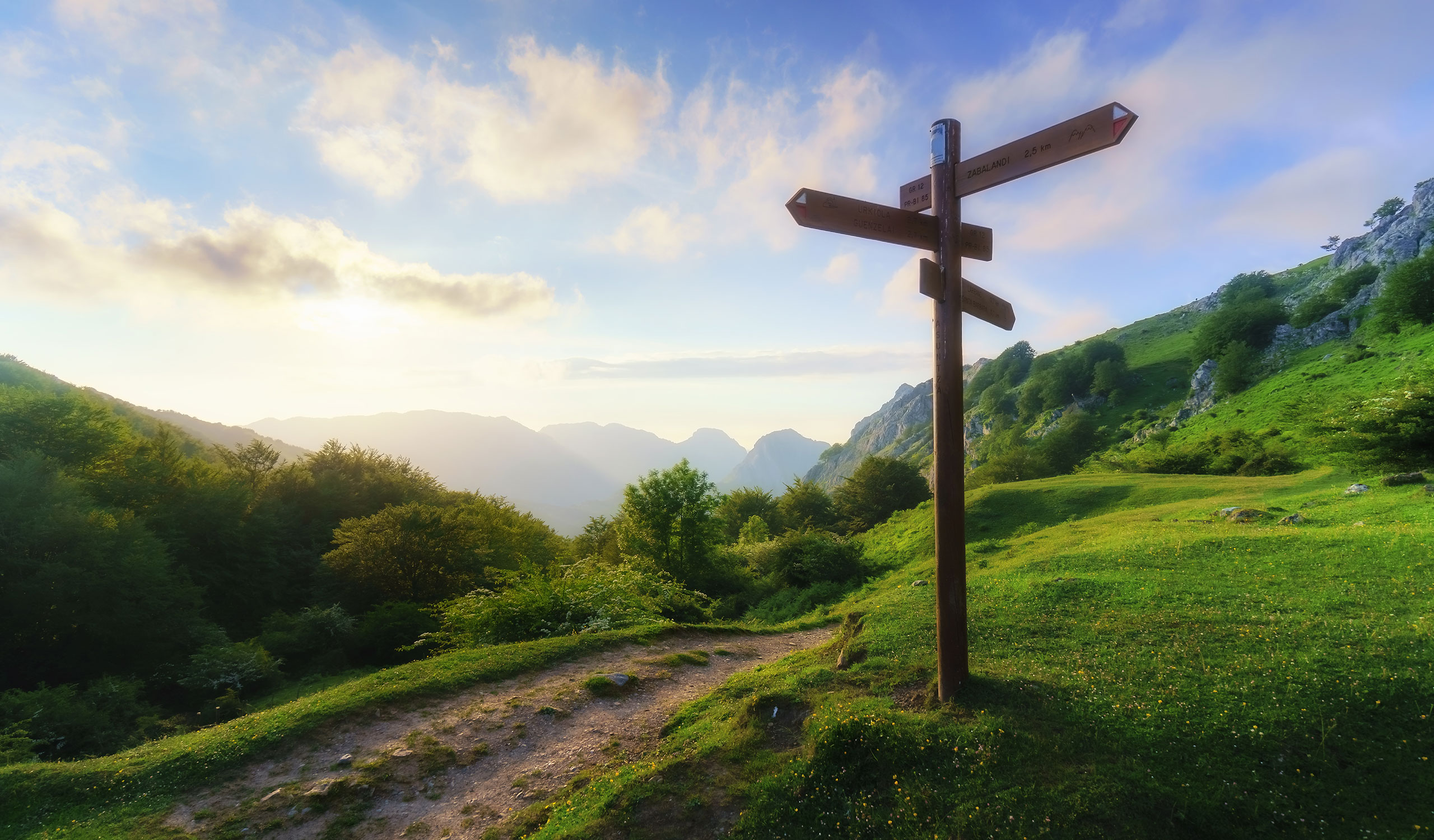 law firm web design raleigh nc