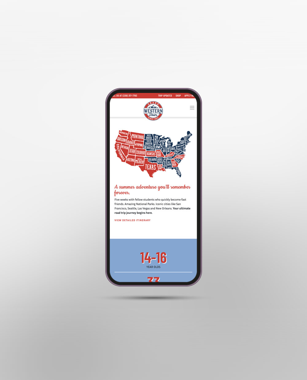 wordpress development for teen tours